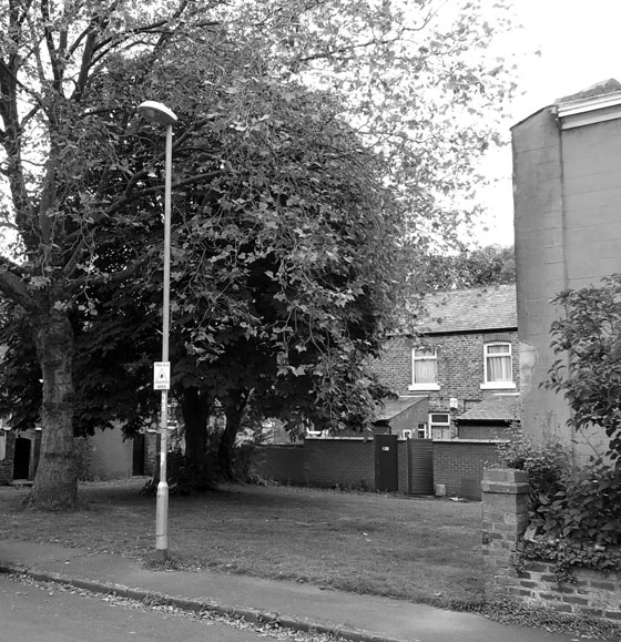 leabank street